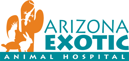 Arizona Exotic Animal Hospital | Veterinary care for exotic pets in  Phoenix, Mesa, Tempe, Chandler, Gilbert AZ