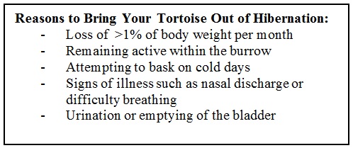 Tortoise Weight Chart Hermanns