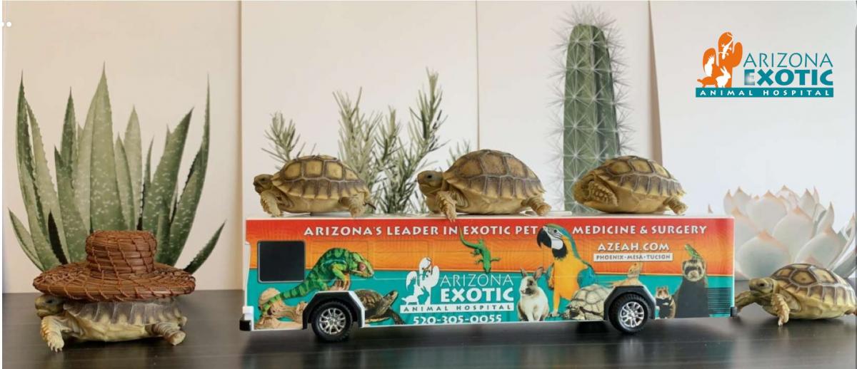 Map/Hours/Contact | Arizona Exotic Animal Hospital | Veterinary Services