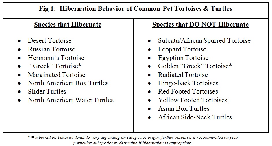 Tortoise Food Chart