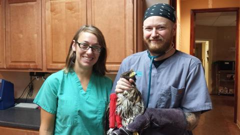 Dr. Lamb, Gunner the hawk, and Justin.